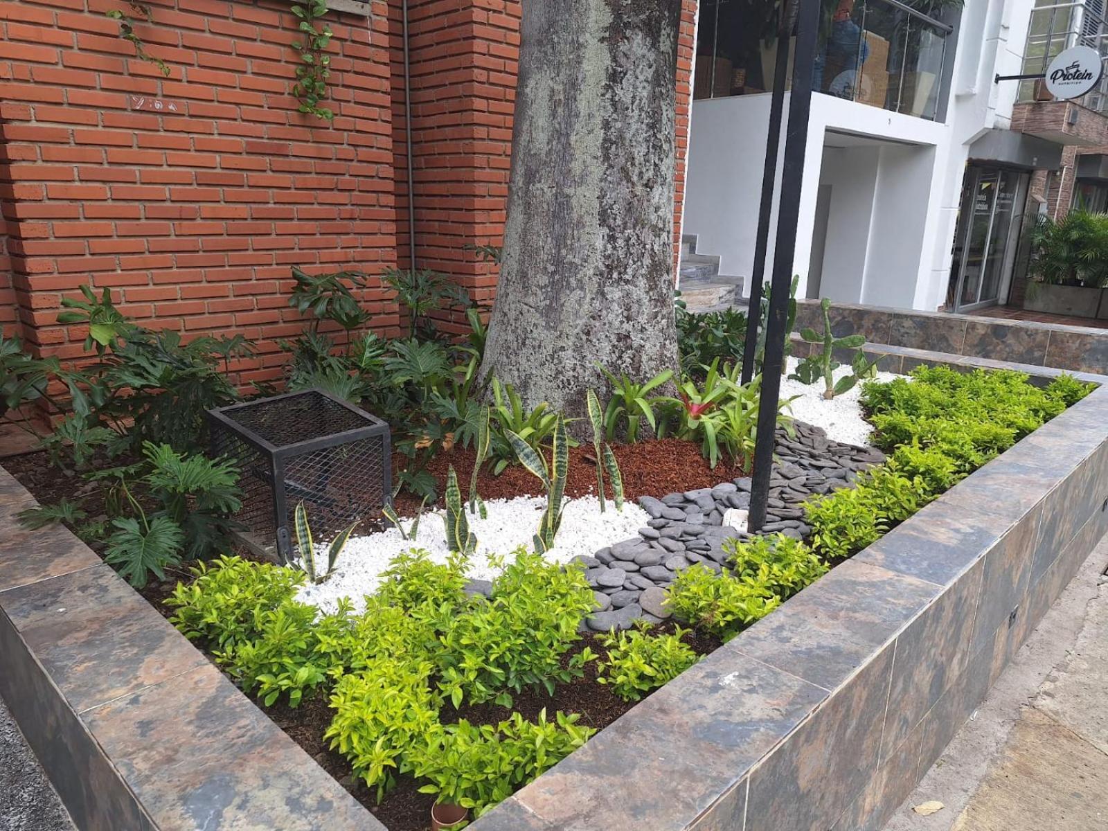 Hotel Suramericana Medellín Buitenkant foto